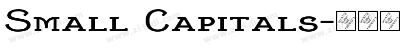 Small Capitals字体转换 Small Capitals字体转换